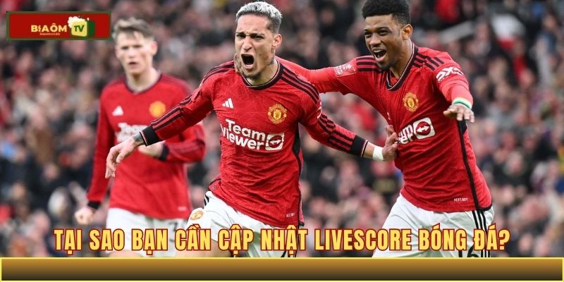 Tại sao bạn cần cập nhật livescore bóng đá?