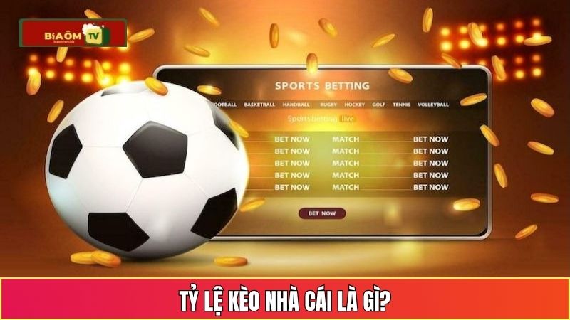 Tỷ lệ kèo nhà cái là gì?